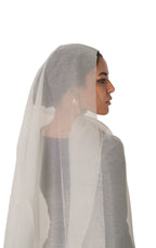 Ice Silver