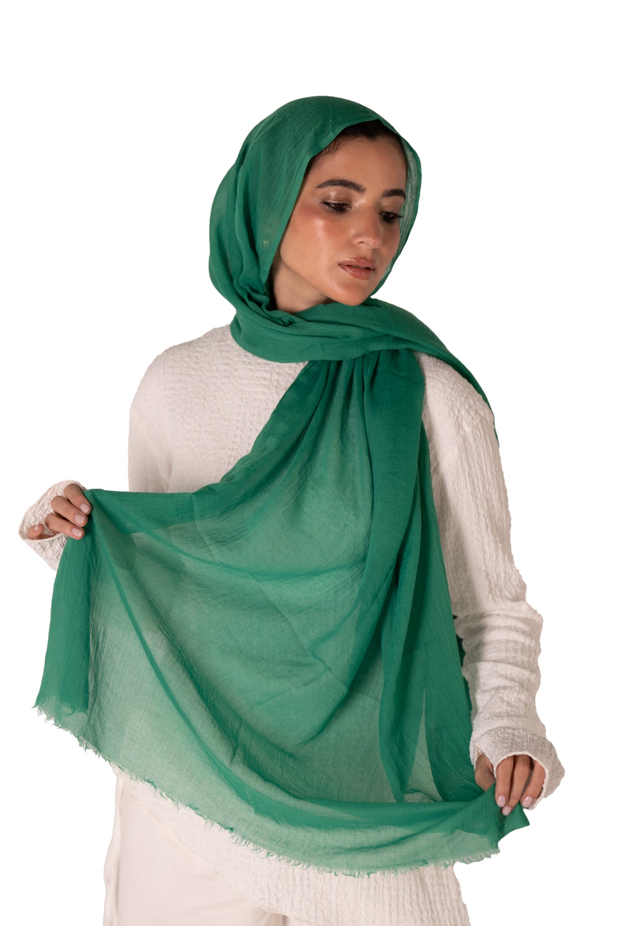 Cozy Cotton
