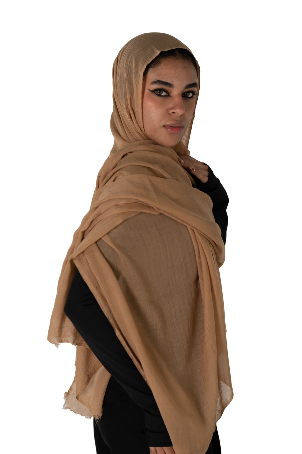Desert Camel