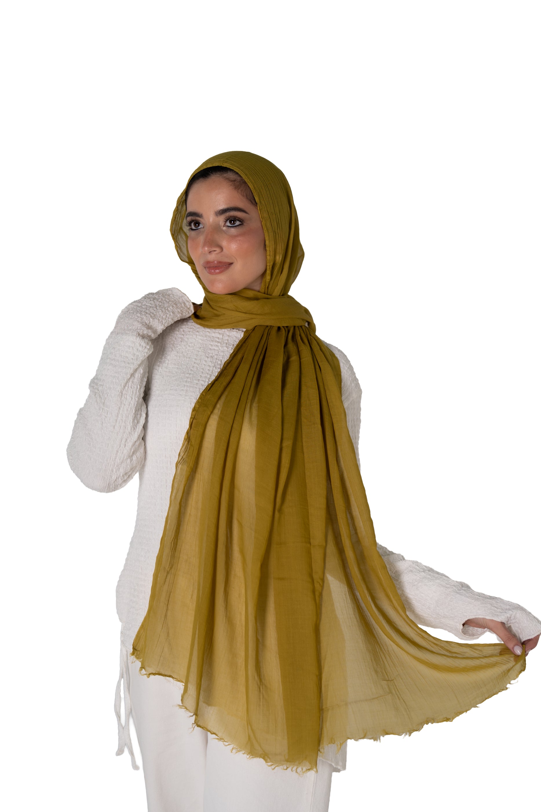 Cozy Cotton