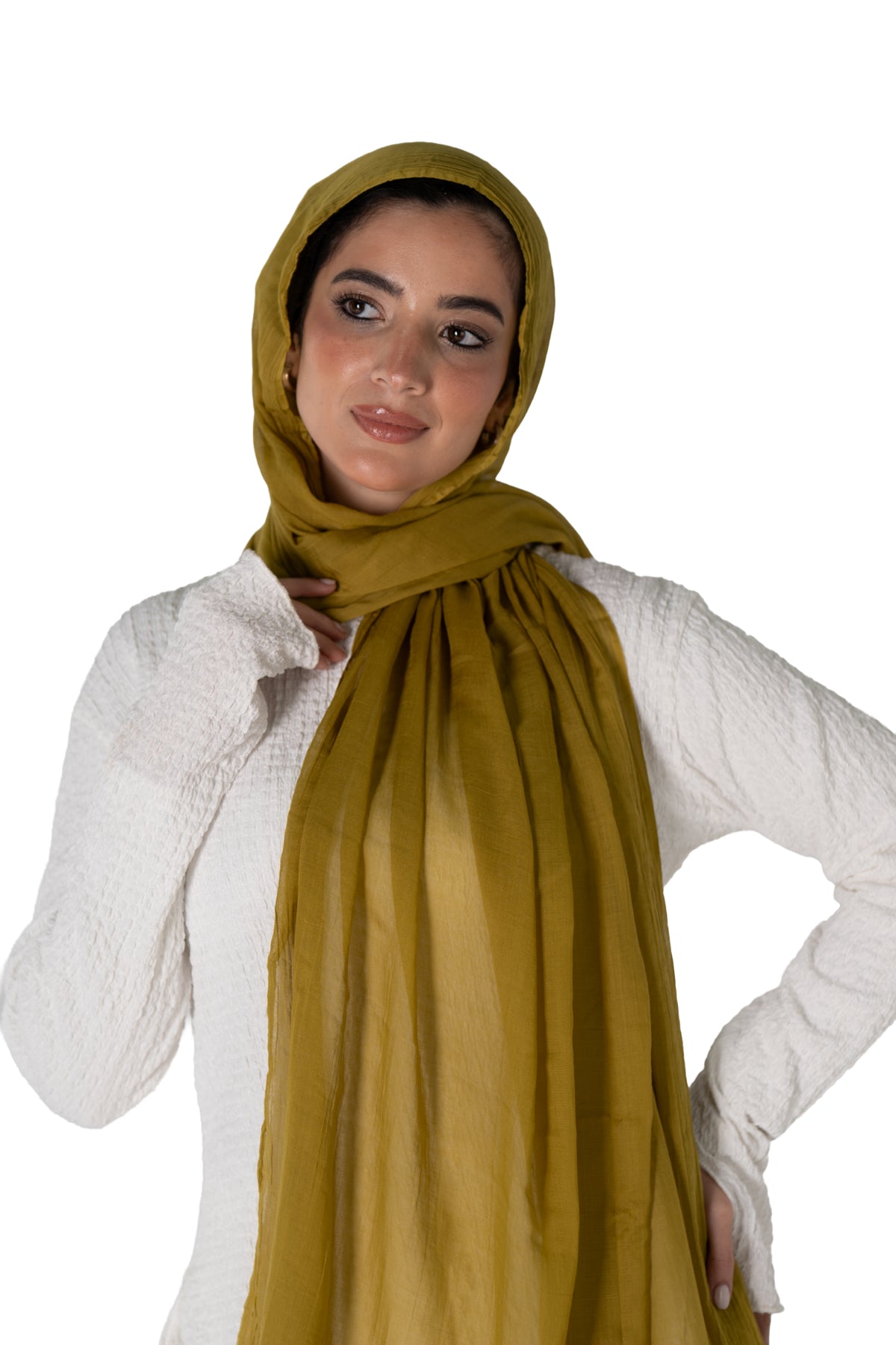 Golden Olive