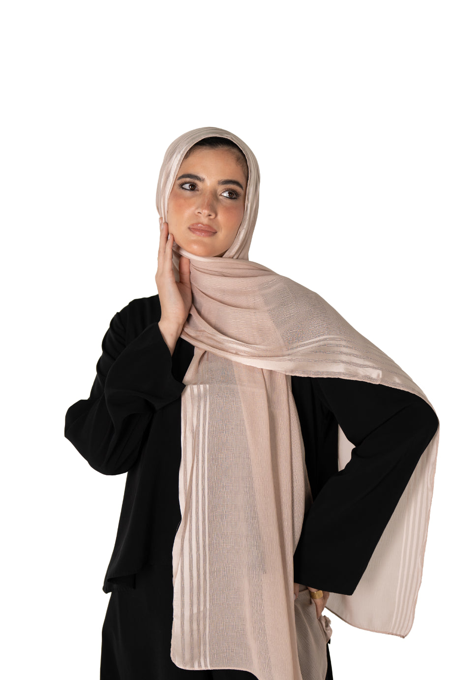 Silhouette Stripe Chiffon Scarf