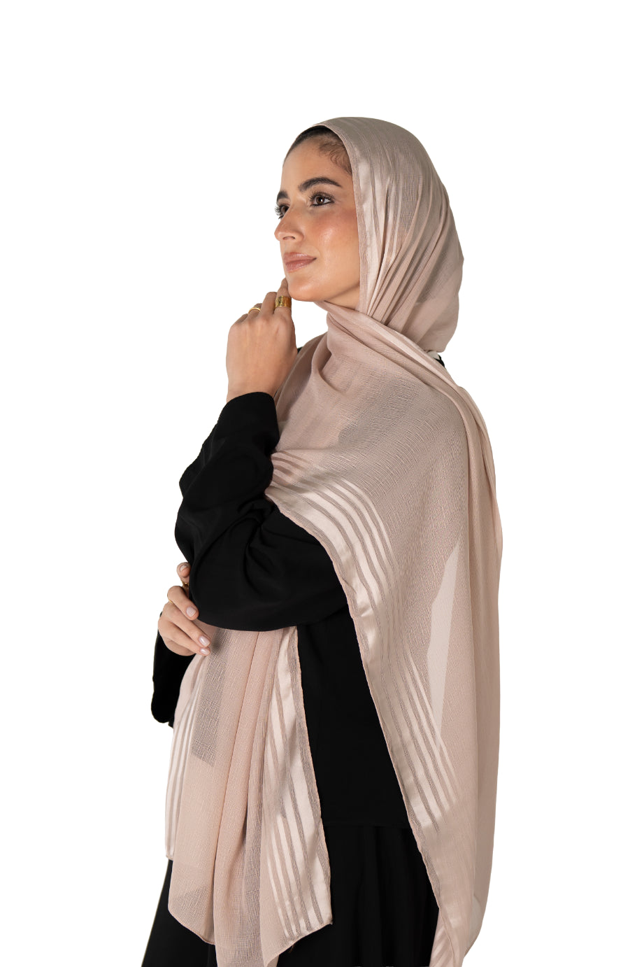 Silhouette Stripe Chiffon Scarf